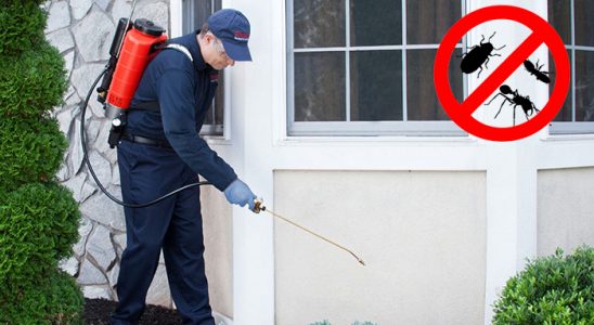 Tufanbeyli Karınca İlaçlama böcek ilaçlama ve haşere kontrolü — ilaclama-tr.com